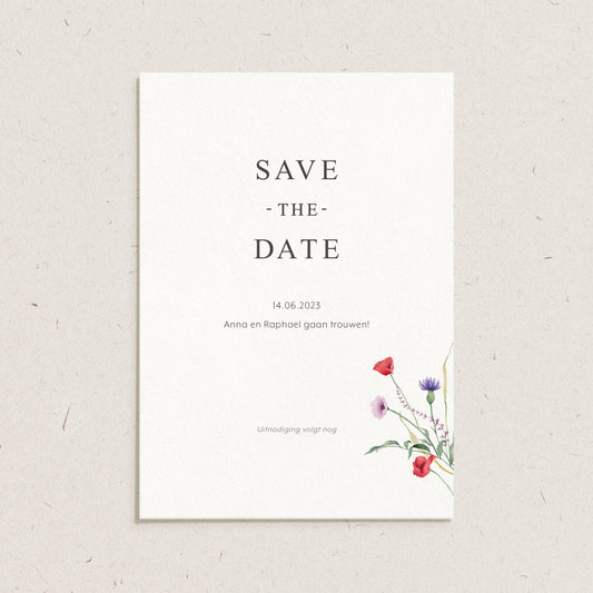 Save the date 'Anna & Raphael'